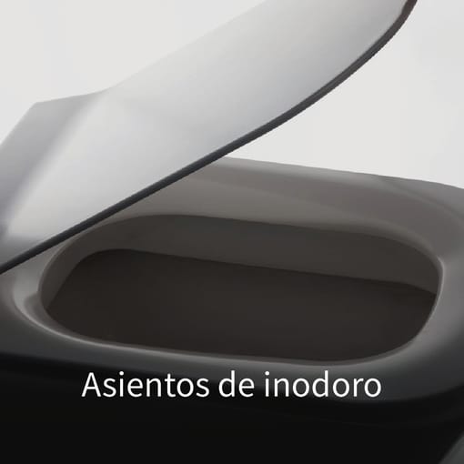 Asientos de inodoro