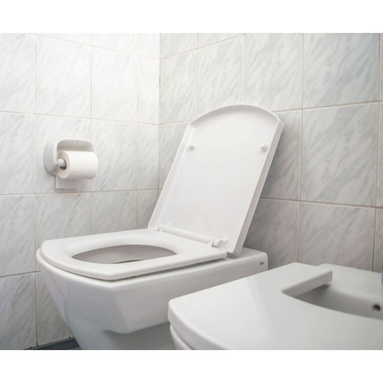 Asiento Tapa Inodoro Roca The Gap Herraje Metal - Imagen 4