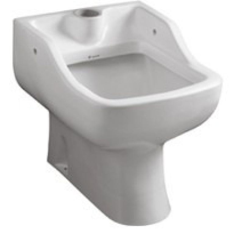 Inodoro Vertedero Ferrum Para Hospitales Issf Baño