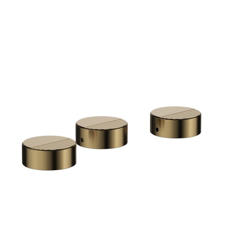 Griferia FV Grip Bidet Brushed Brass 0295/L8-BB