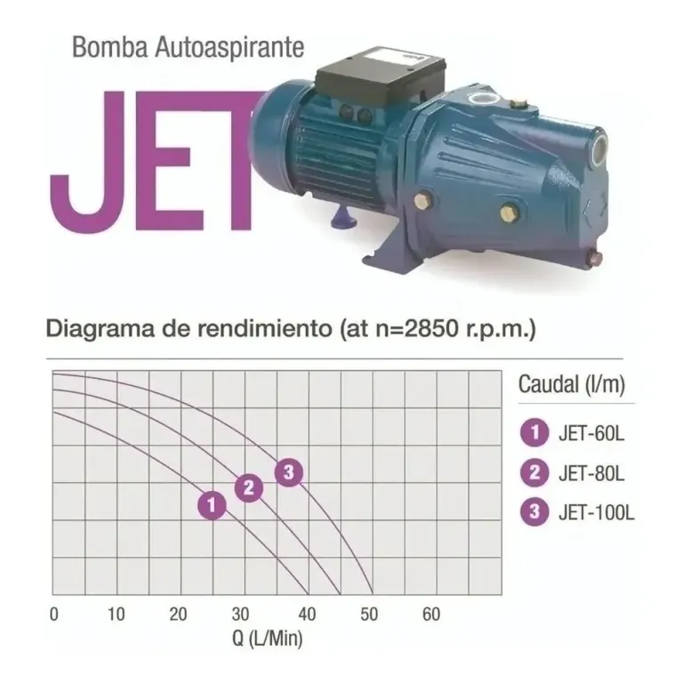 Bomba Centrífuga Autoaspirante Pluvius Jet-80L Monofásica 45m - Imagen 2